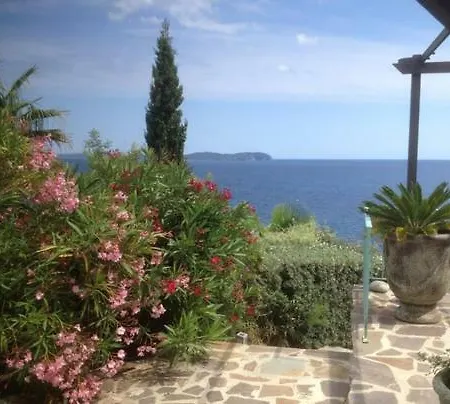 Pieds Dans L'eau Face Porquerolles & Piscine Carqueiranne